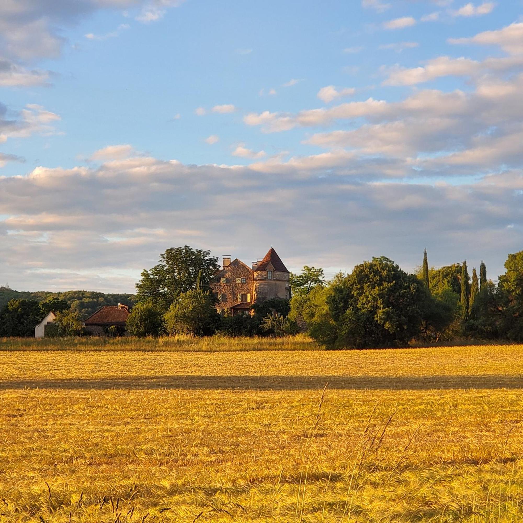 Mas De Garrigue Bed & Breakfast Calvignac Exterior foto